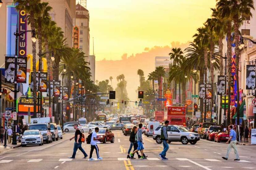 iStock_88396545_LARGE_LA.jpg