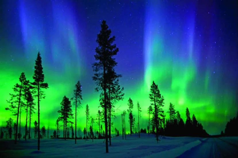 Northern Lights iStock_16343631_LARGE.jpg