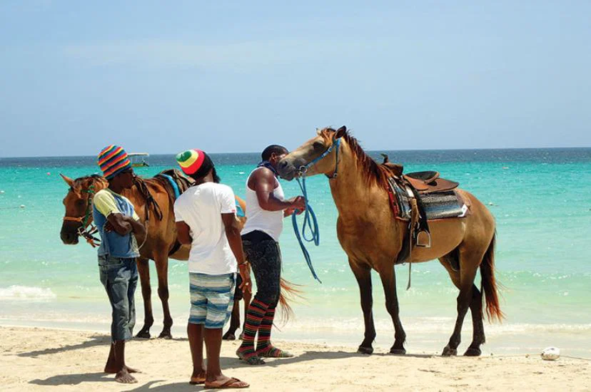 Jamaica-Hertiage-Horse-Ride-2.jpg