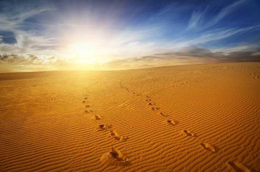 Footprints in a sand dune at sunset