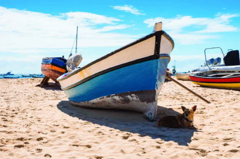 Cape Verde Experience now offers eight of the archipelago's 10 islands