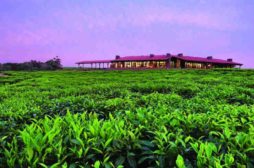 Nyungwe House OONH-lodges-hero-1440x900-min.jpg