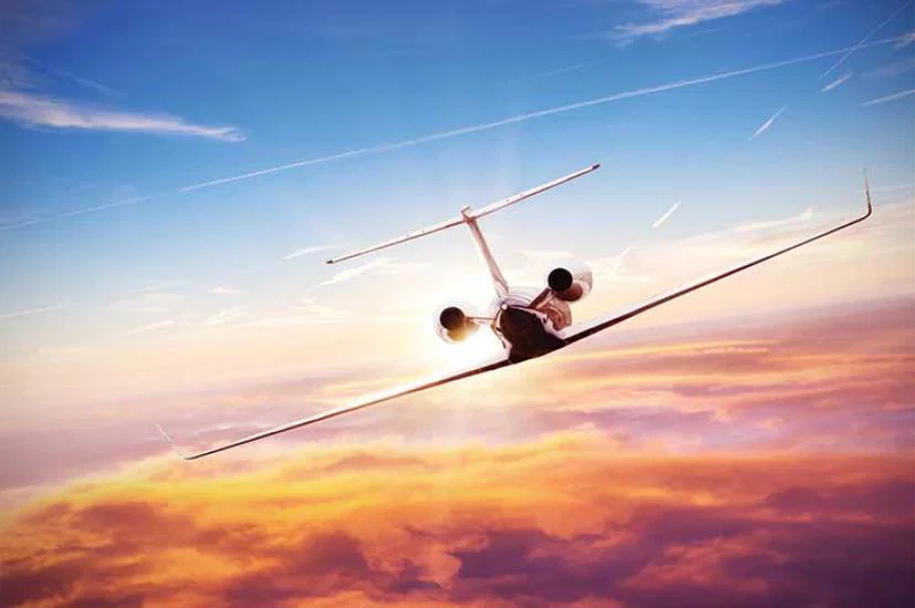Ryanair expects other LCCs to struggle after the pandemic because of their higher debt levels
