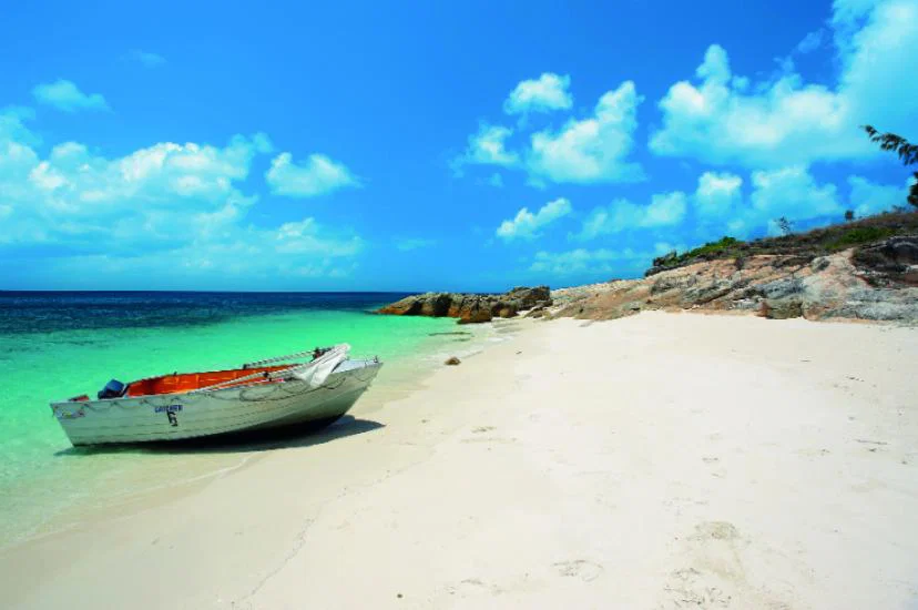 105670_LizardIsland.jpg