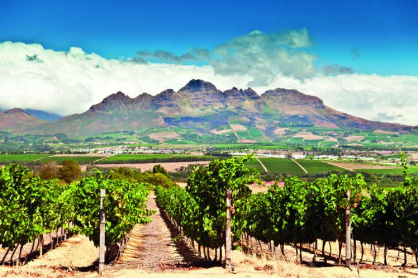Stellenbosch, South Africa