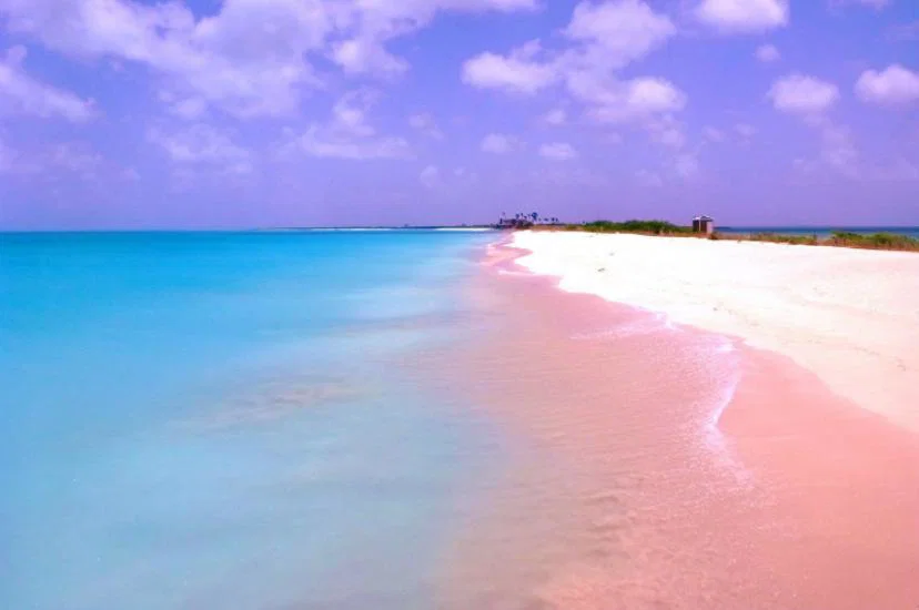 Barbuda Pink Sand .jpg