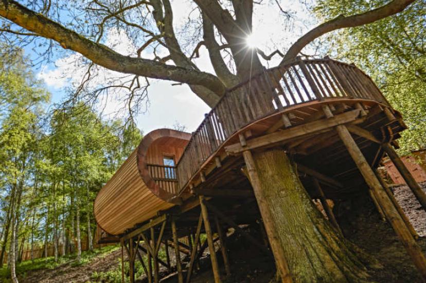 The Fish treehouse