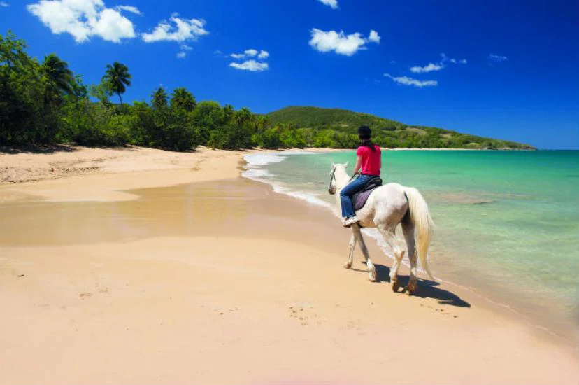 Guadeloupe beach.jpg