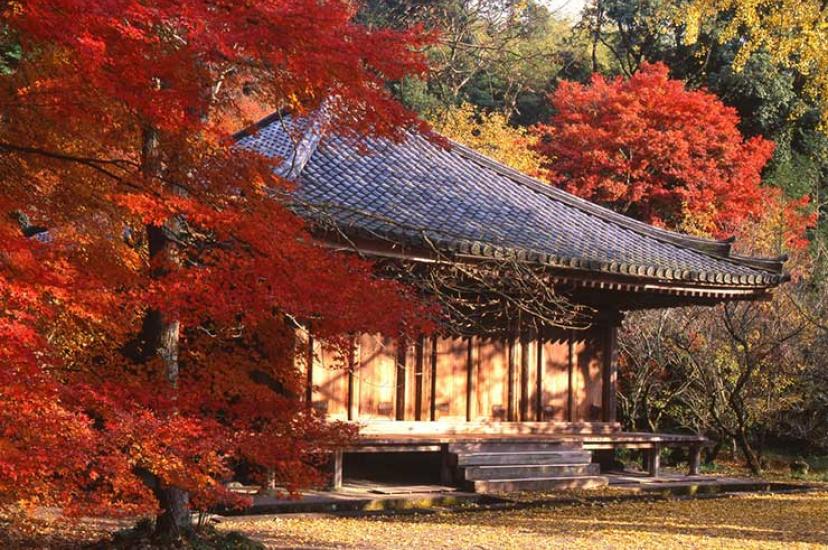 Oita Fuki-ji temple, Japan