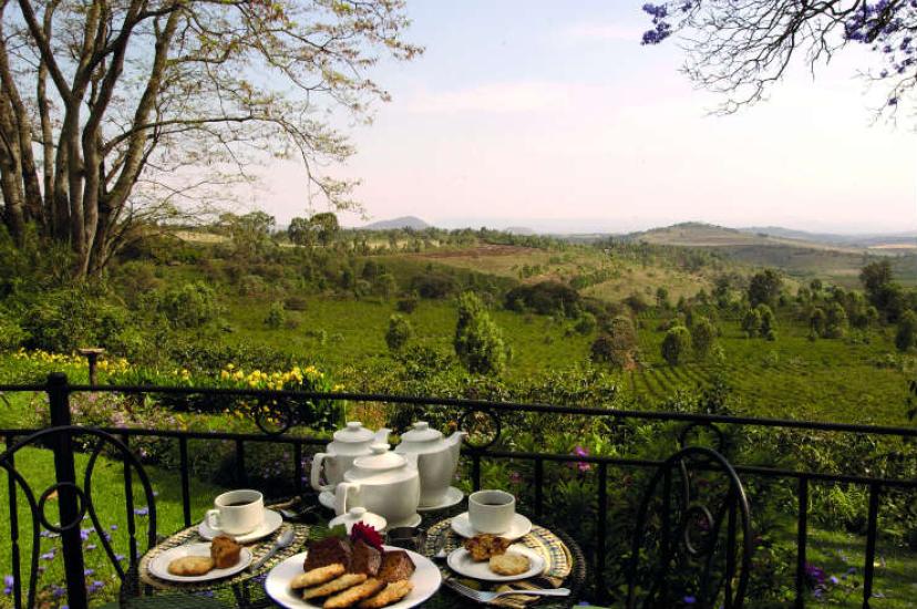 Gibbs Farm, Tanzania
