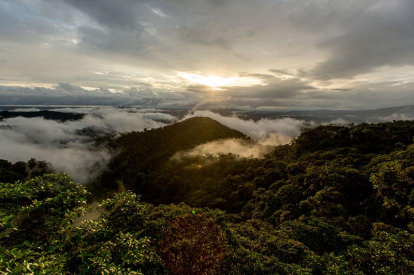 Mashpi Lodge & Choco Cloud Forest (7).jpg