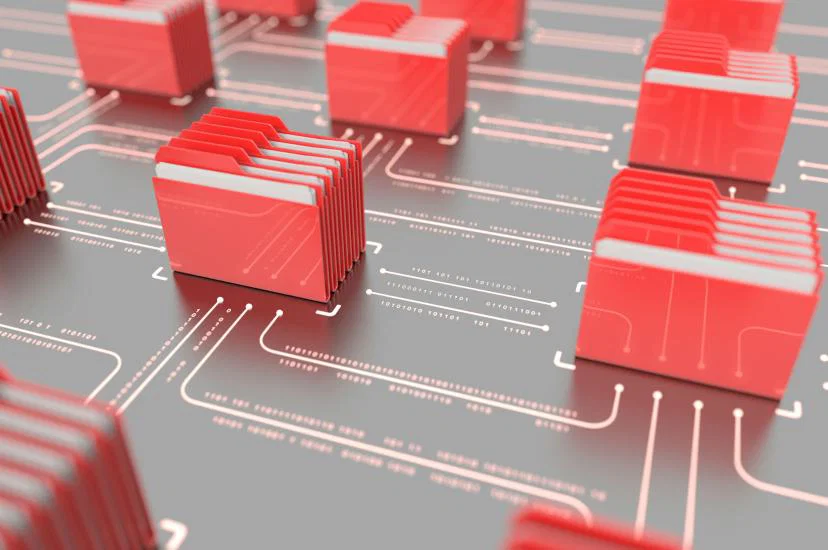WDCS focuses on technology roles within the travel sector
