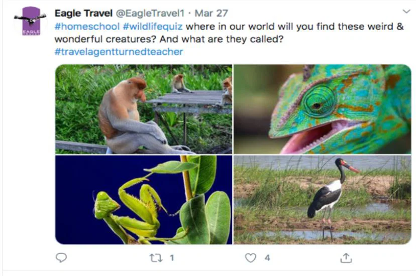 The first quiz saw Eagle ask clients to identify where four exotic animals were from in the world.