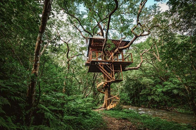 Treeful Treehouse eco-resort, Japan