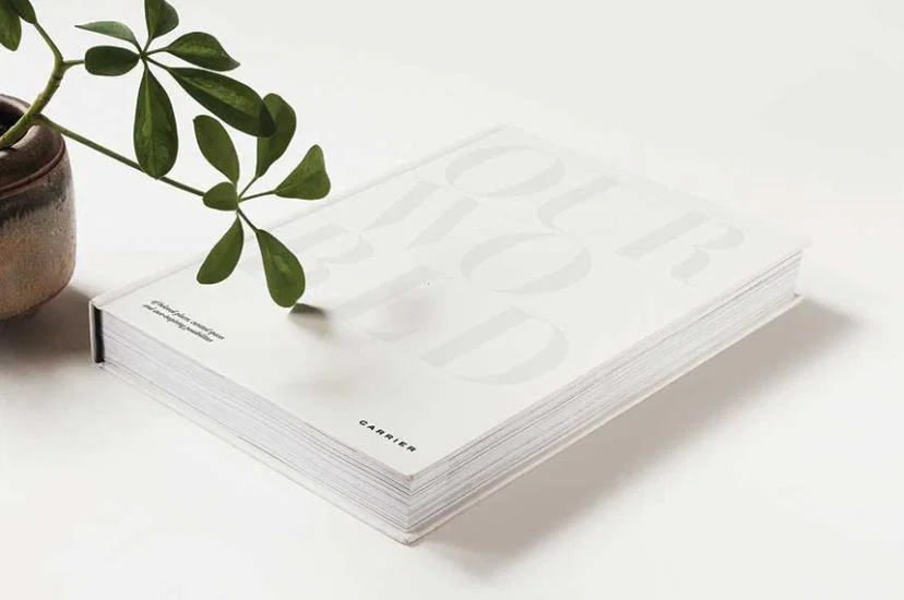 Carrier: Our World brochure