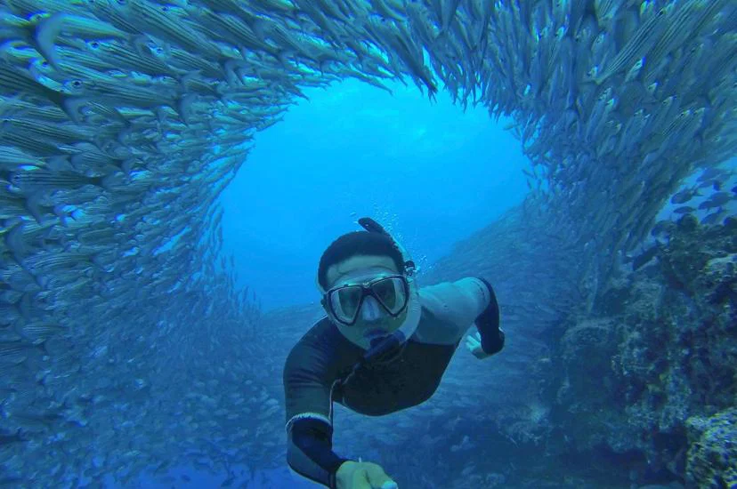 Diving in the waters of the Galapagos Islands