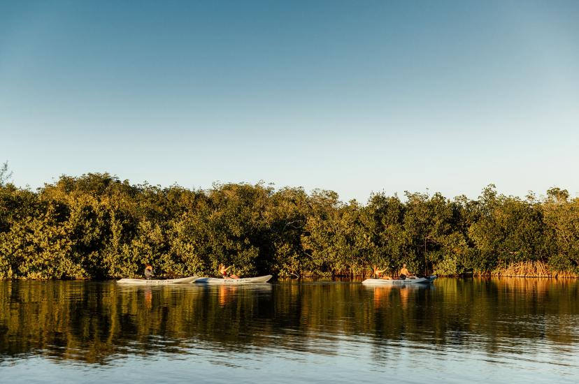 A kayak tour at Cocoa Beach presents a different side to Florida