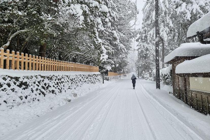 Mt Koya