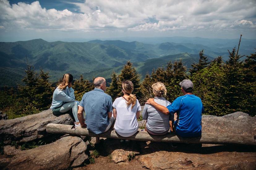 Family reunion travel