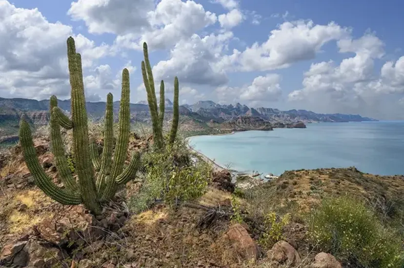 Mexico