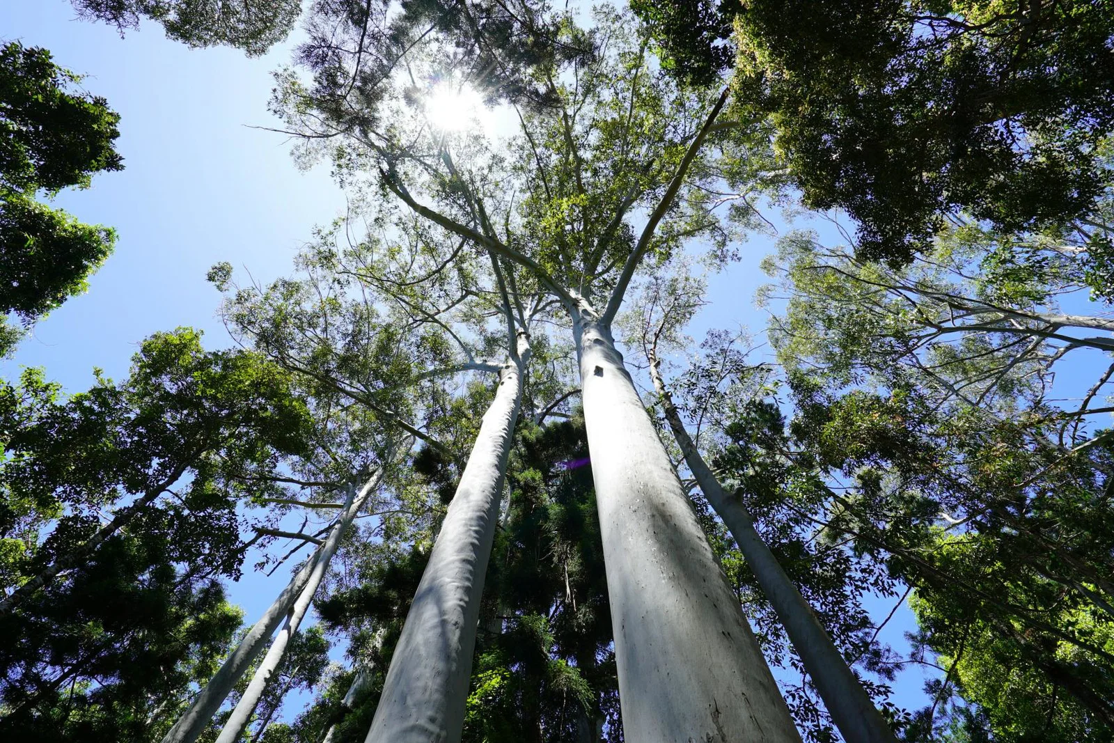 How to cut your carbon footprint