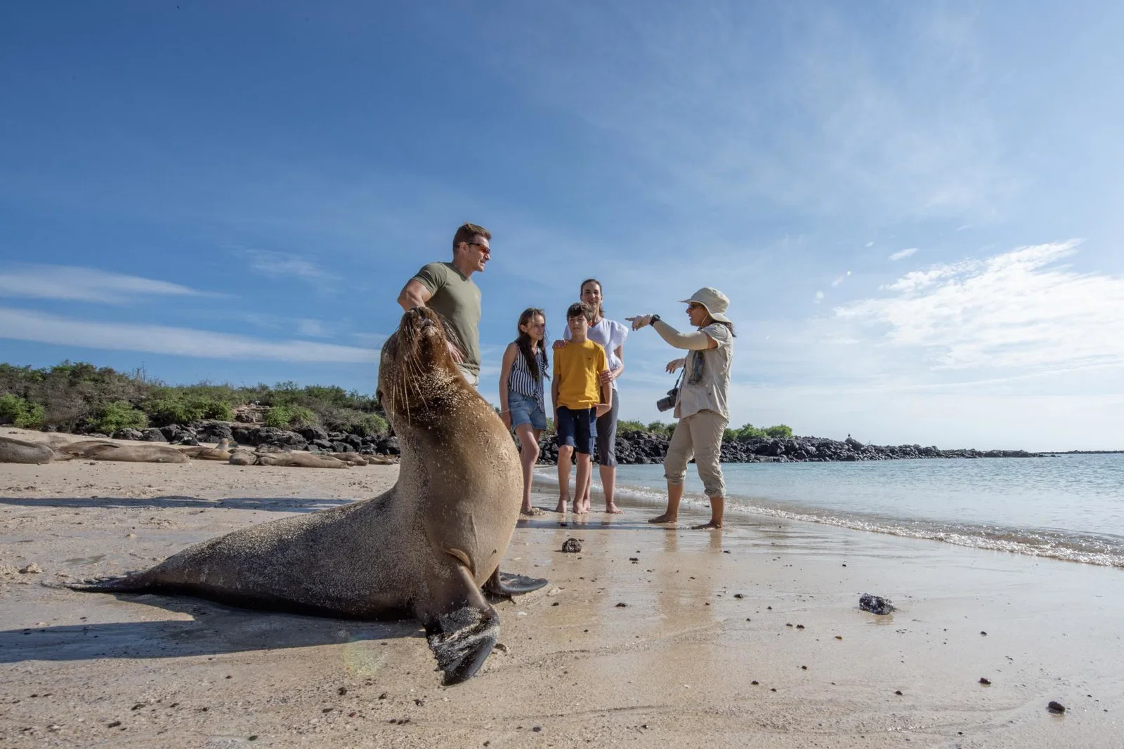 Group of people and guide stand behind a seal on a sandy beach
