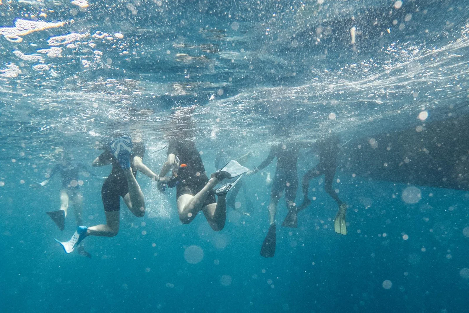 Snorkellers in the water