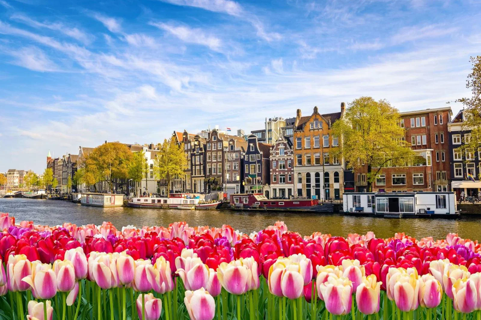Riviera Travel ship cruising in Amsterdam during tulip season