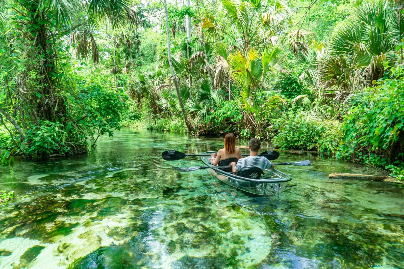 two people in a glass-bottom kayaking paddling down a river surrounded by greenery