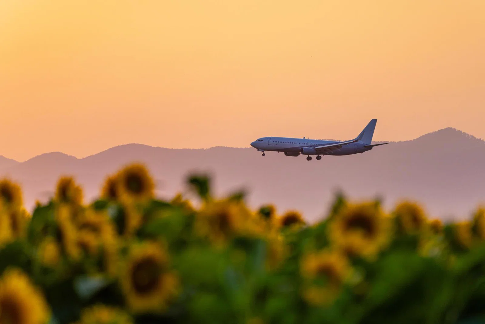 Airlines have been reminded of their obligations to passengers, despite fuel supply constraints