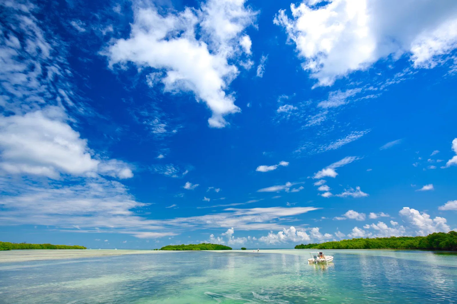 Lower Keys Back Country