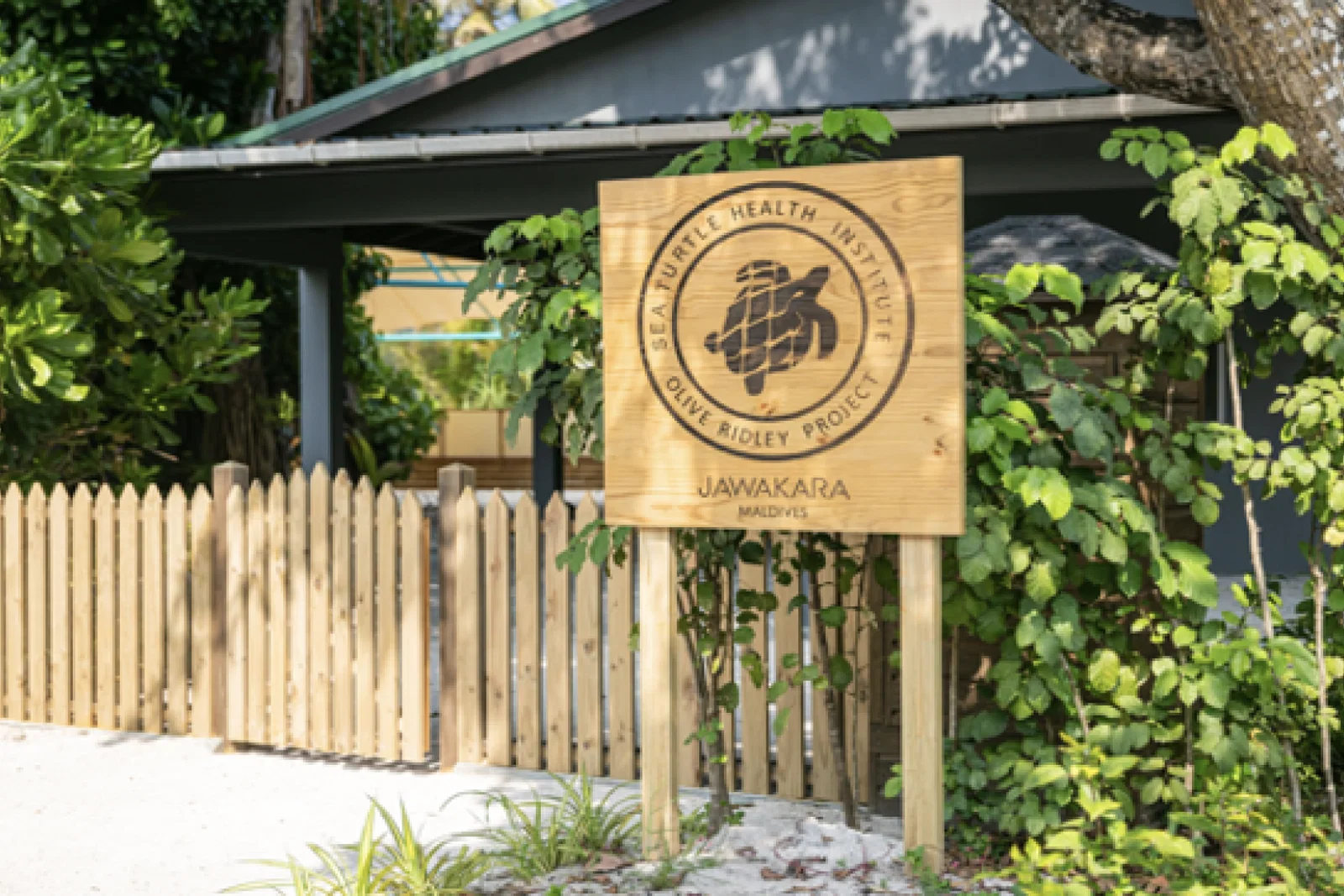 Entrance to Sea Turtle Hospital