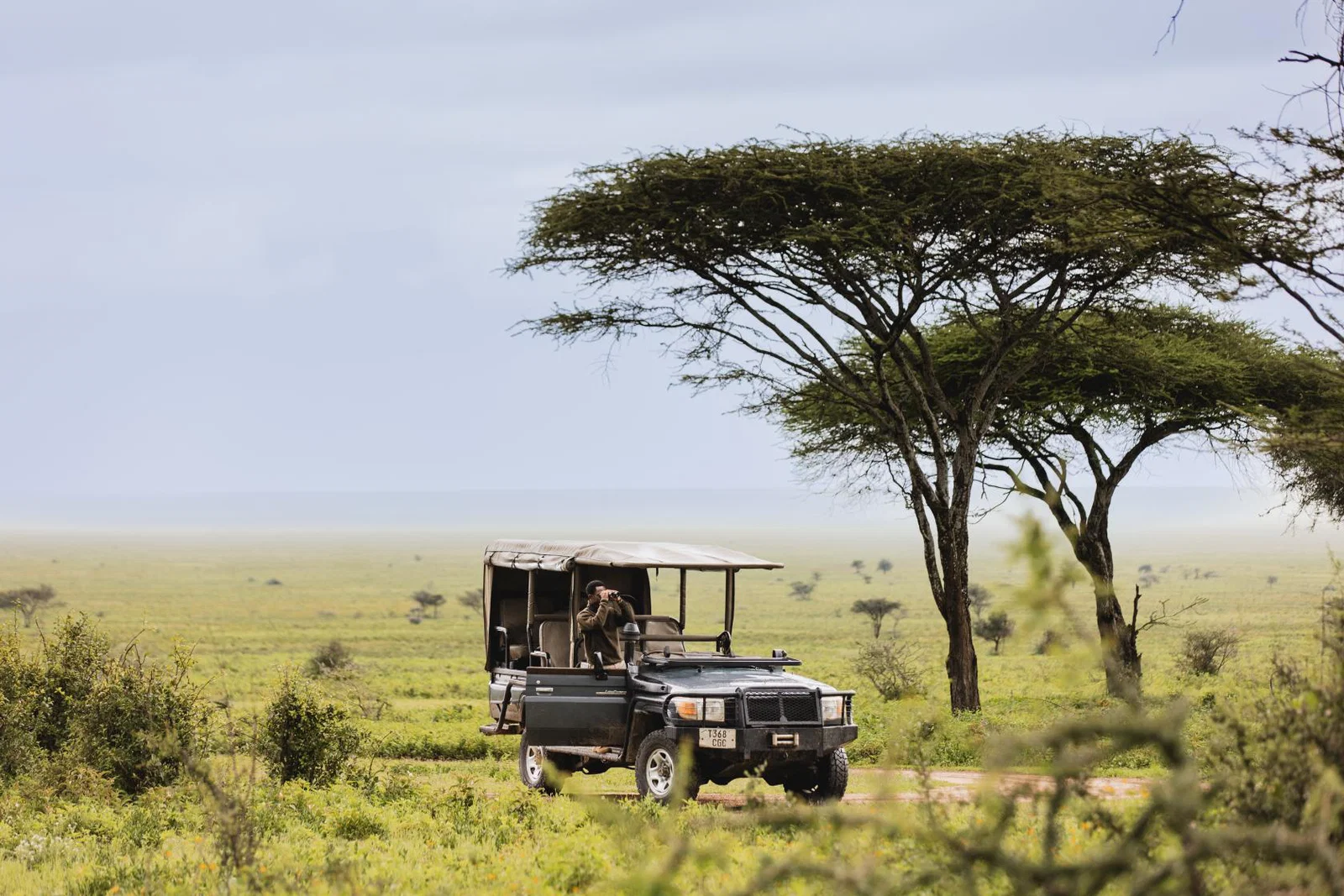 Mwiba Plains, Auberge Safari, Auberge Collection