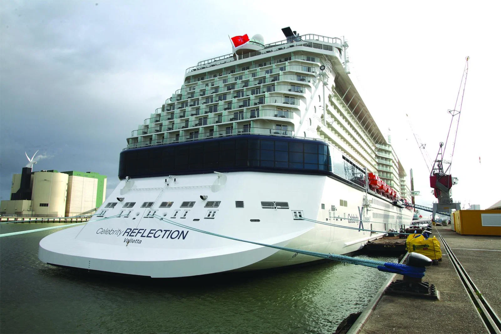 Celebrity Reflection