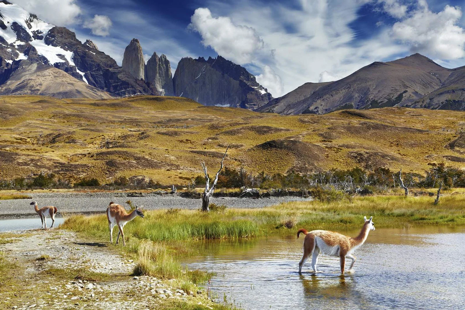 Torres, Patagonia (stock)