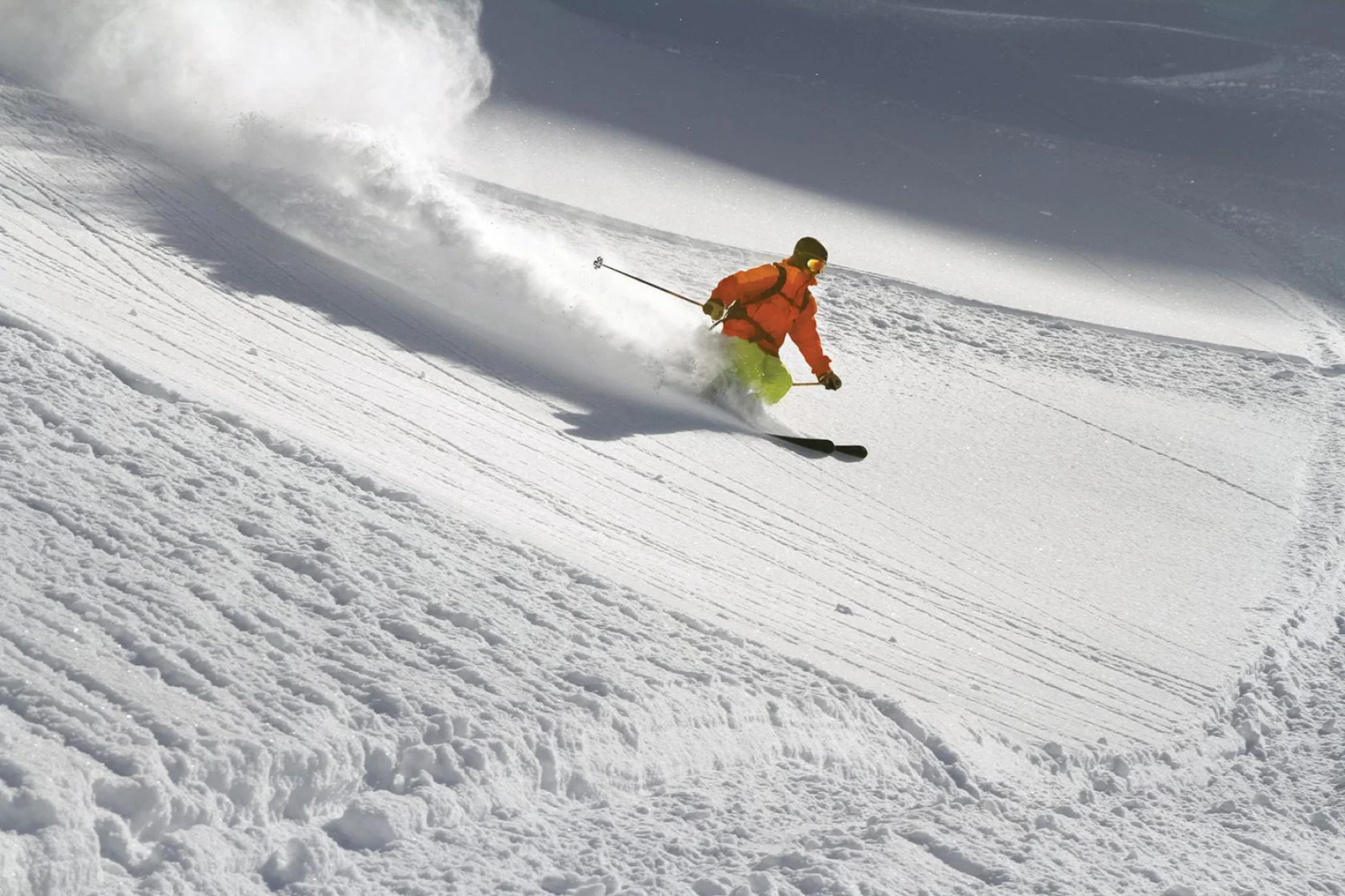 Ski (stock)