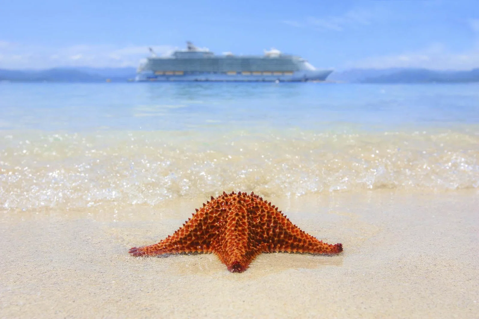 The resumption of international cruising is a crucial part in the industry's journey towards a full return – and forms an integral part of TTG's August issue