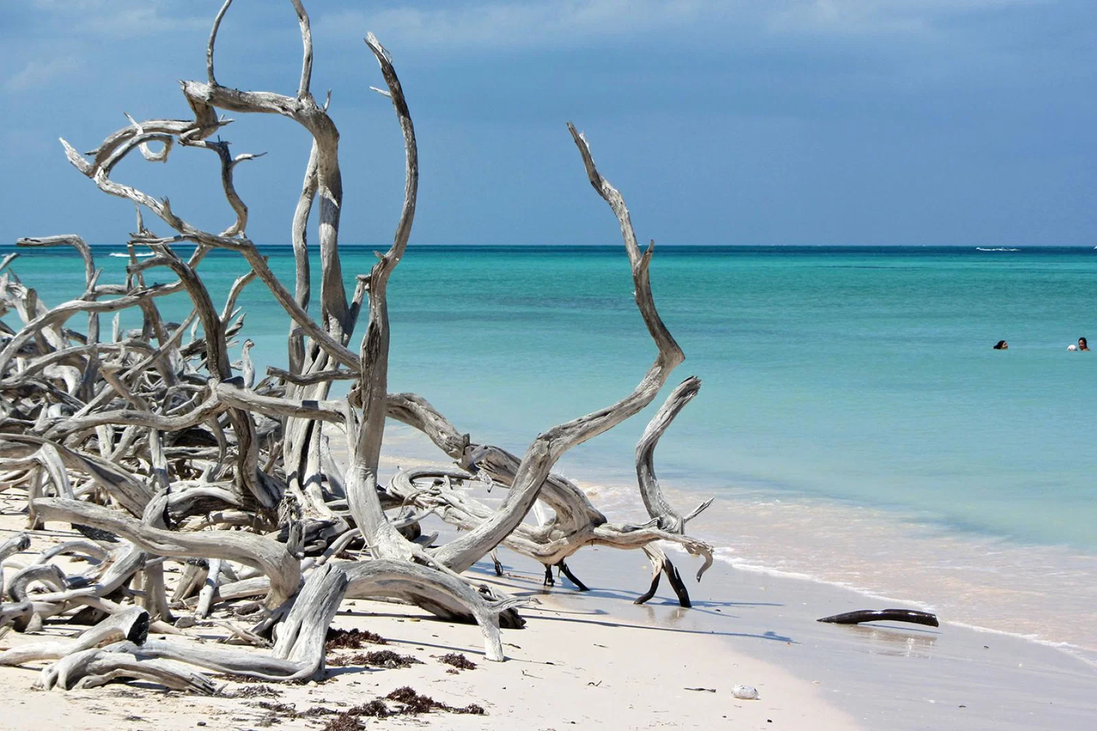 Cayo Levisa, Cuba (credit Vicki Brown)