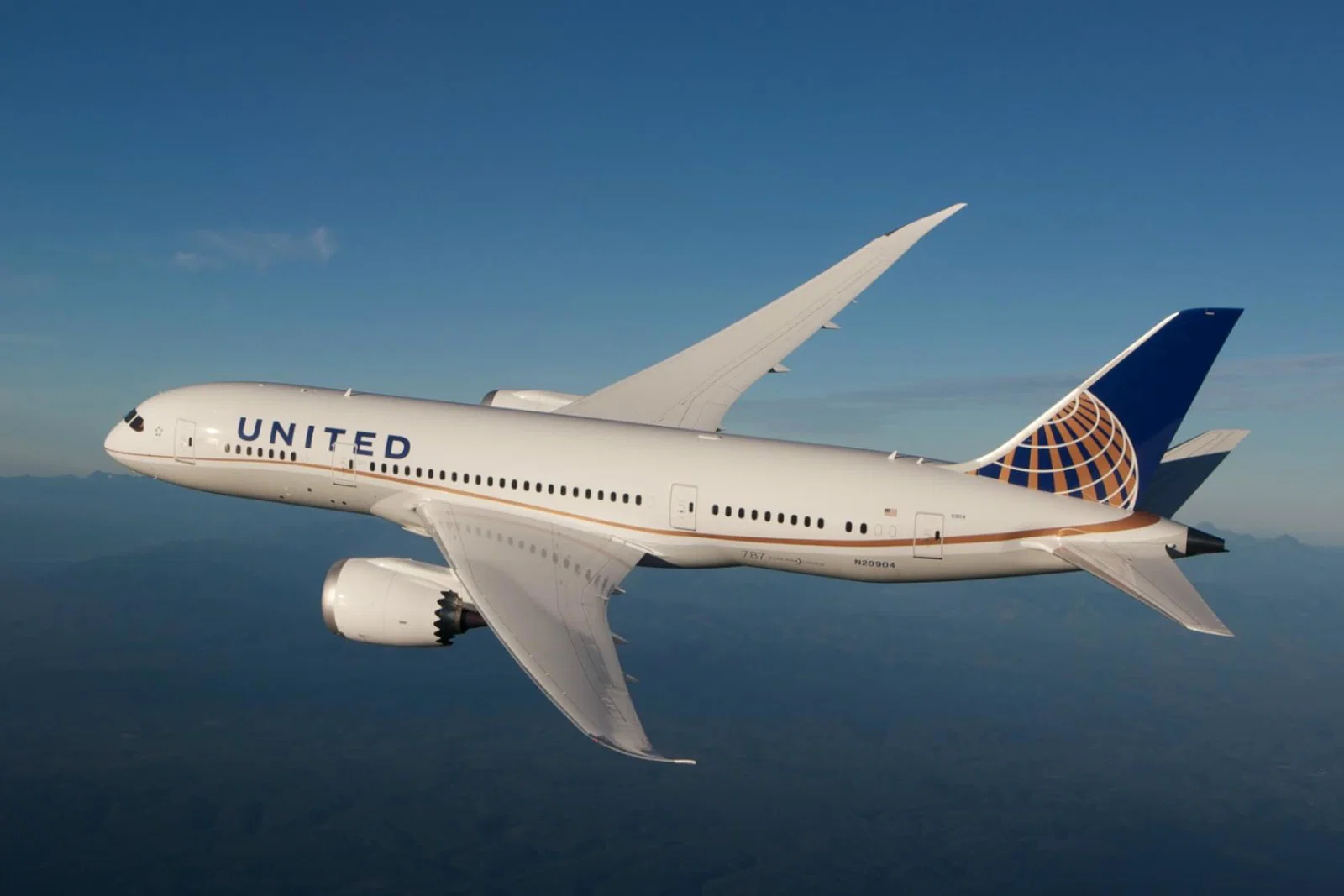 United Dreamliner.jpg