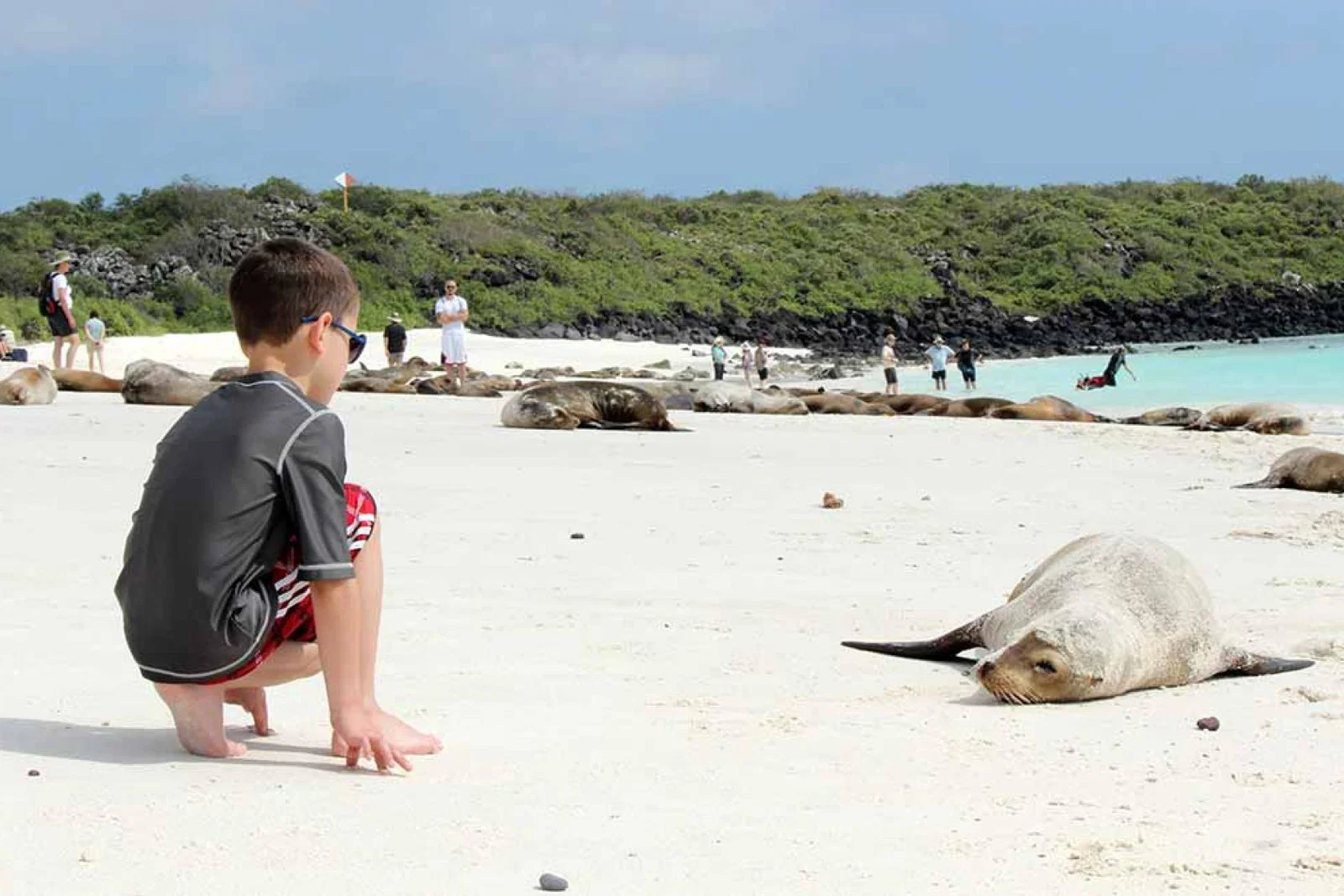 A&K Galapagos Family