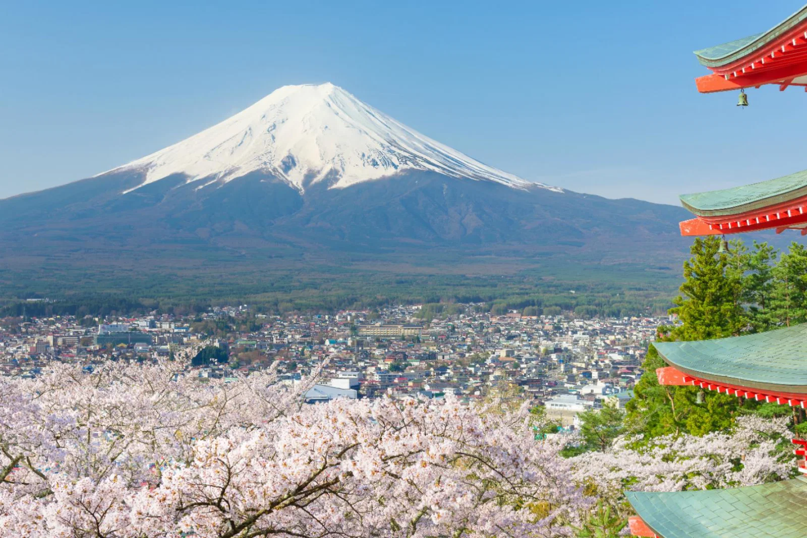 japan.jpg