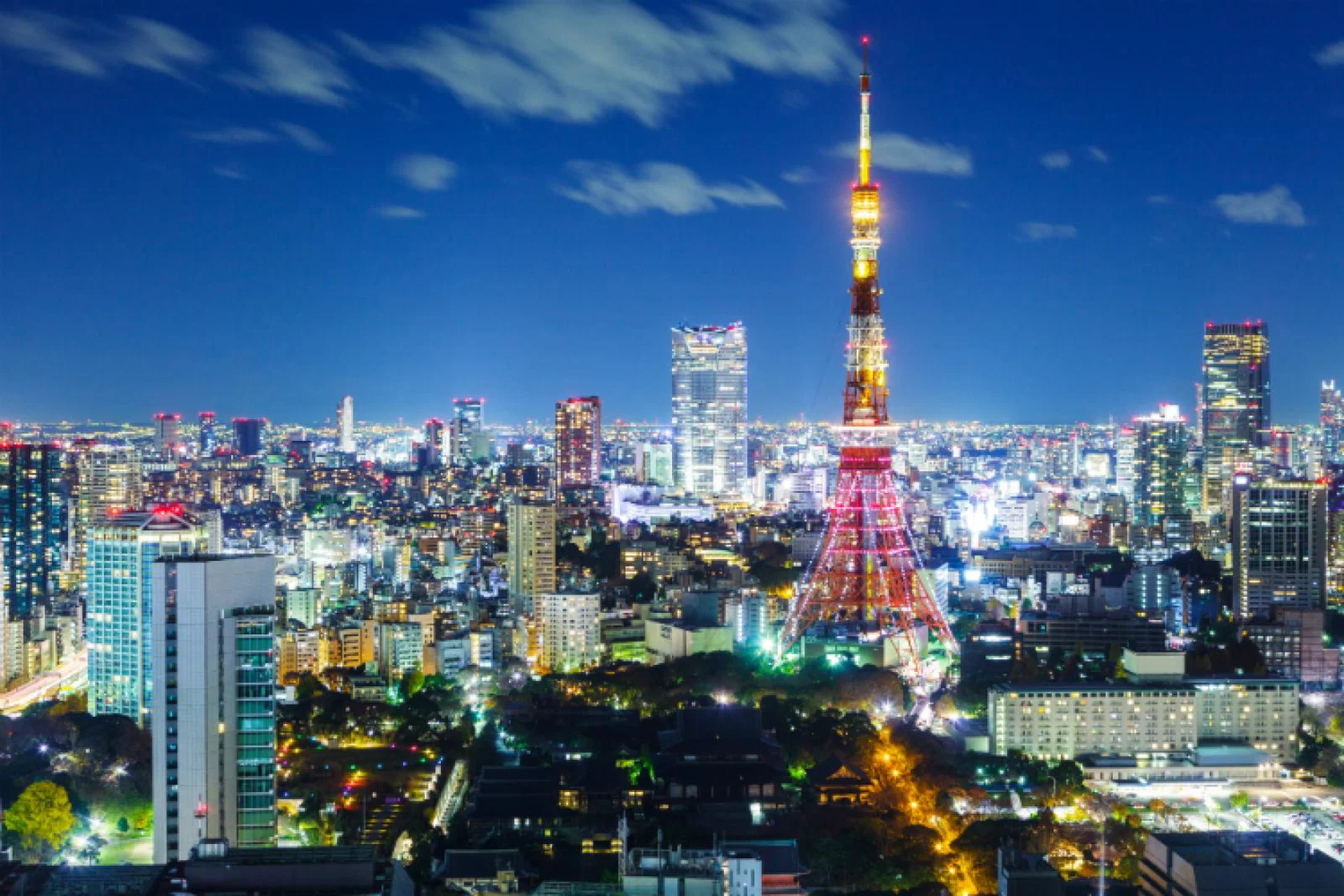 Tokyo Japan.jpg