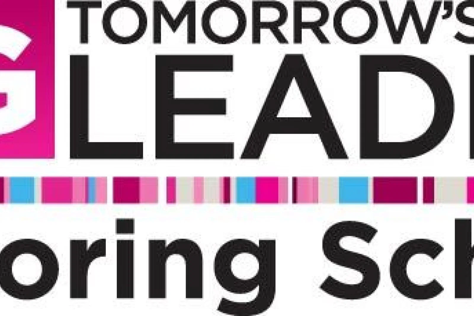 TRAVEL LEADERS MENTORING slim