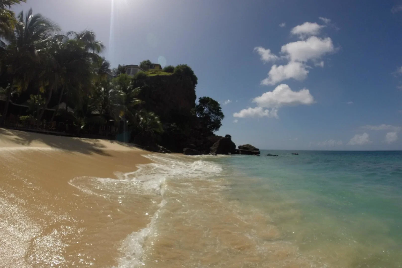 Tropical Beach ThinkstockPhotos-500255128.jpg