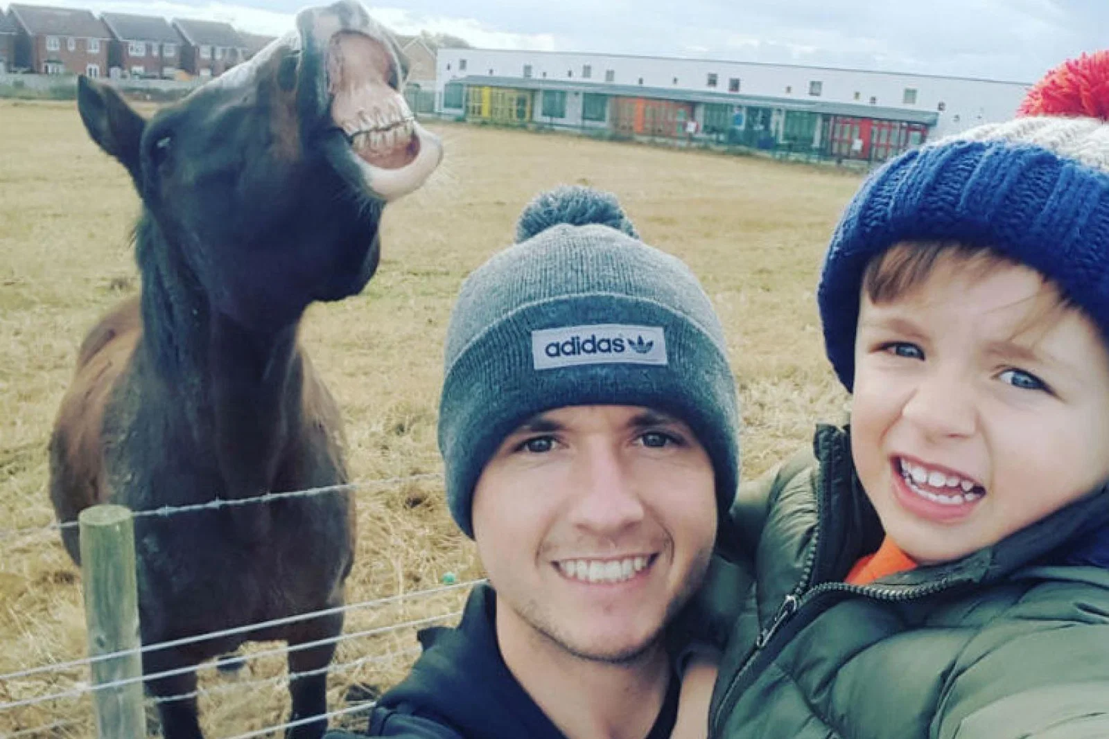 Photobombing horse.jpg