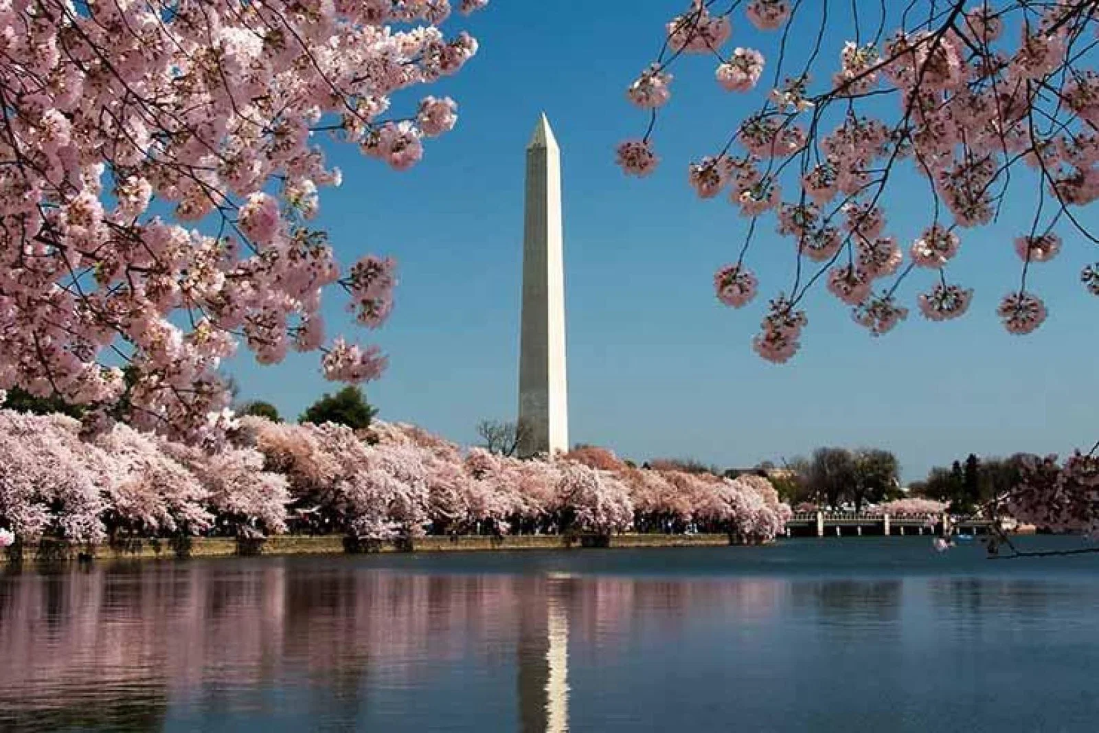 Washington DC