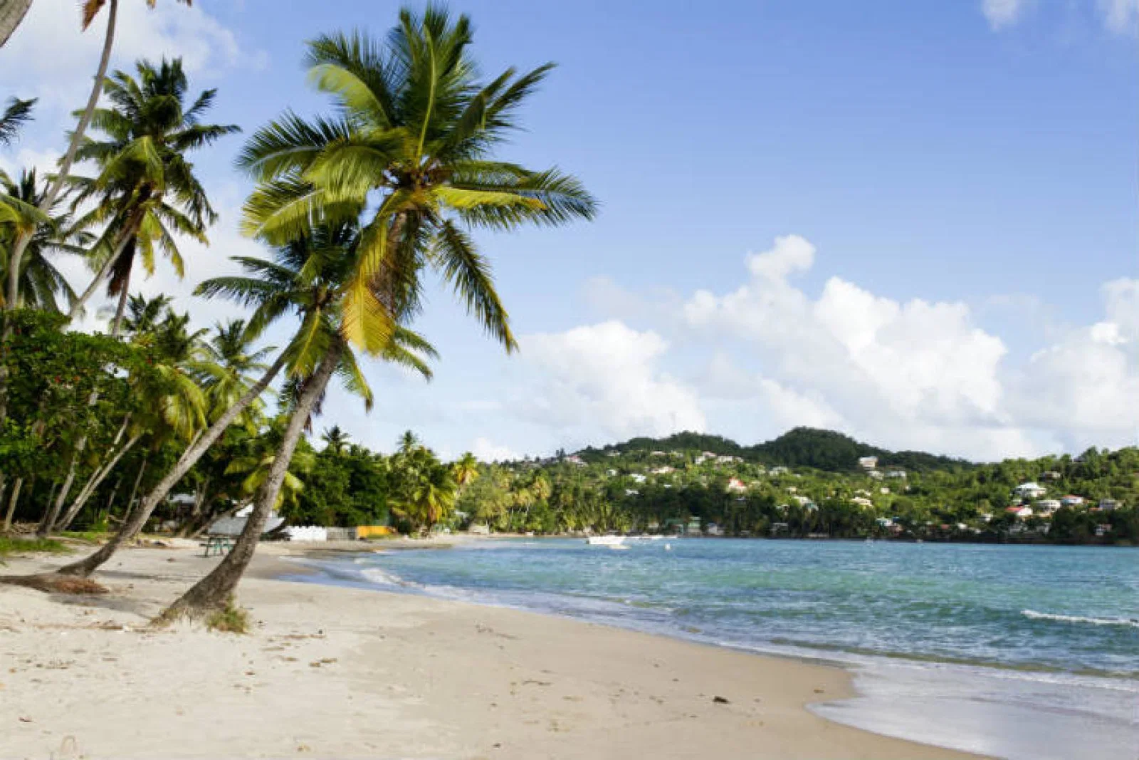 st-lucia-beach-ThinkstockPhotos-119883872