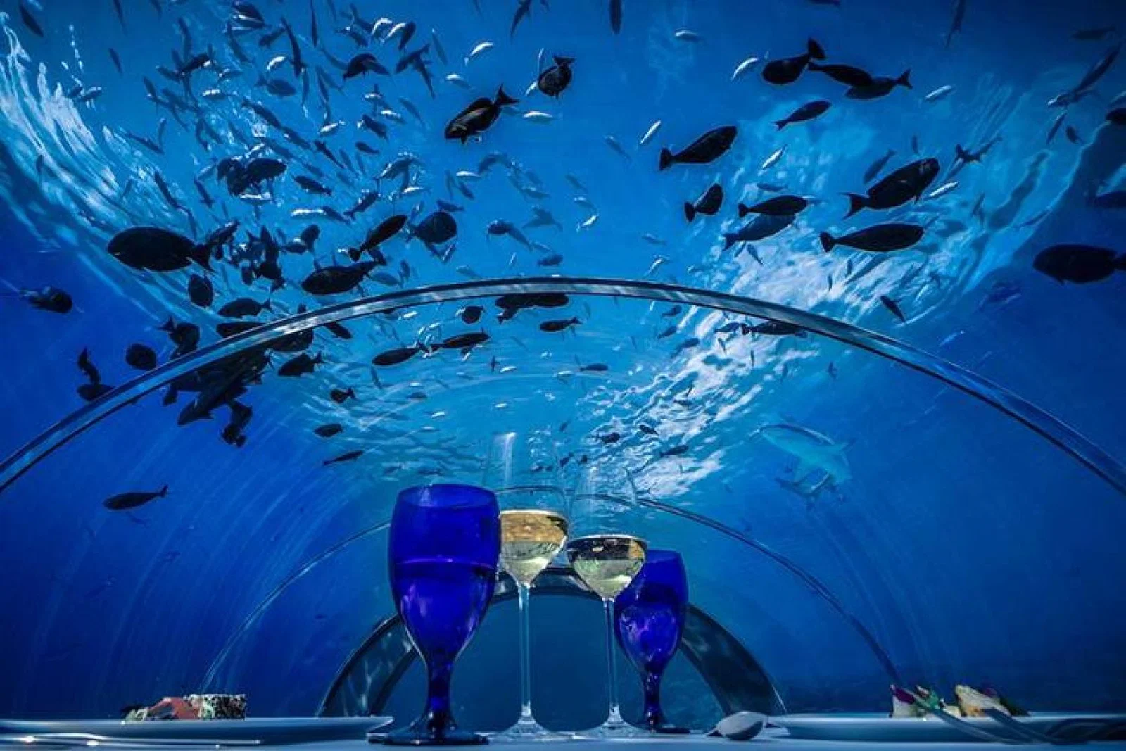Hurawalhi5.8UnderwaterRestaurant3.jpg