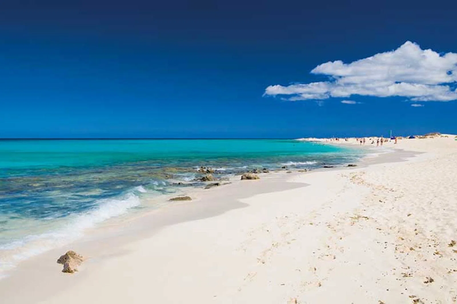 Fuerteventura has become the first Canary island to move to a higher health alert level since the summer