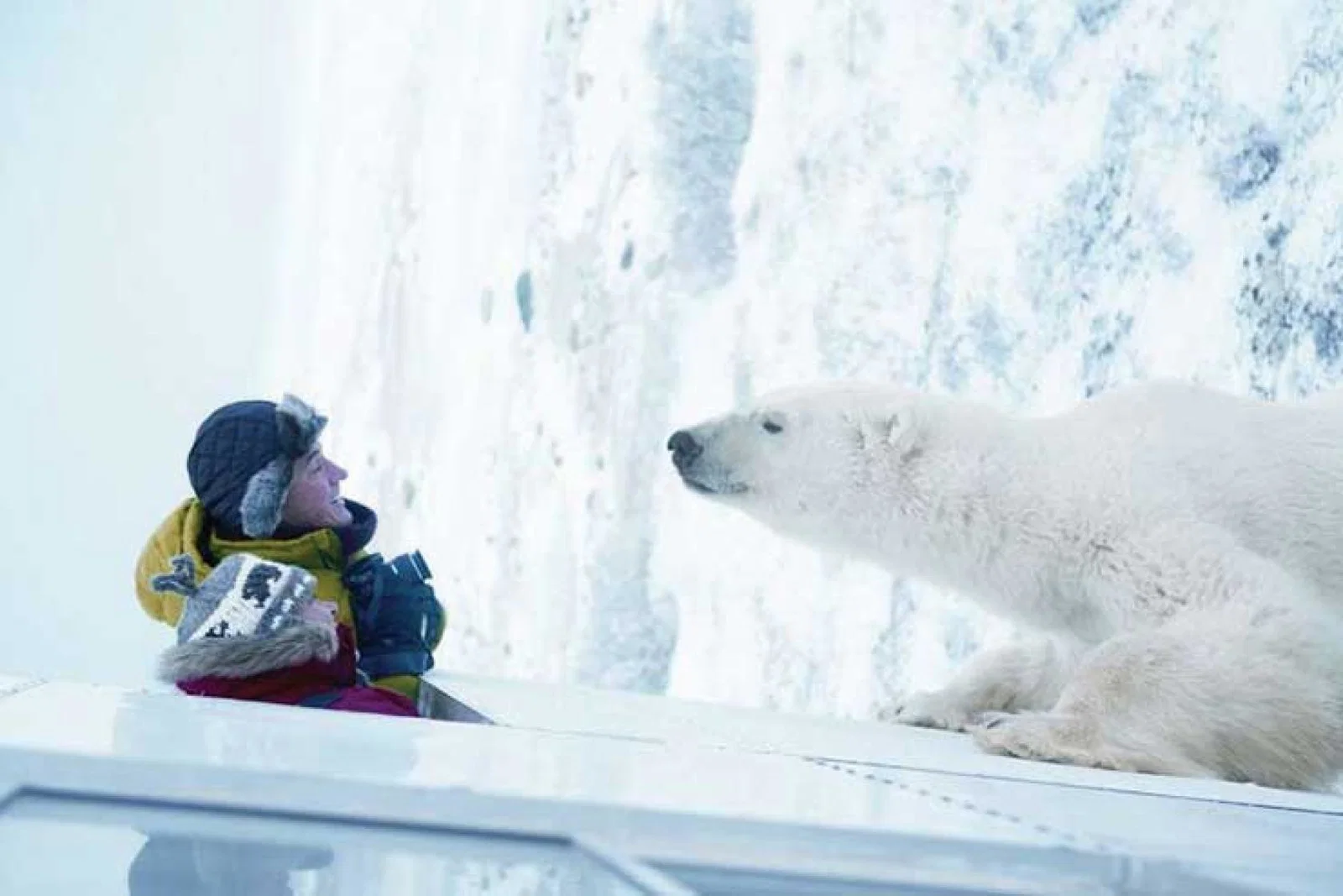 Prestige Canada encounter with a Polar Bear